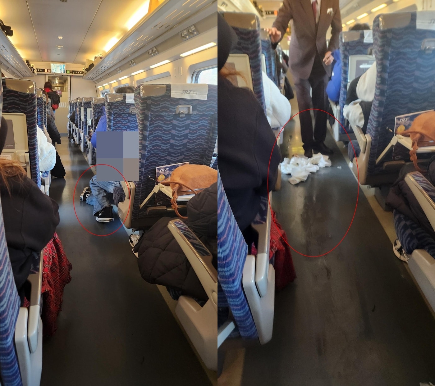 (보배드림 갈무리)