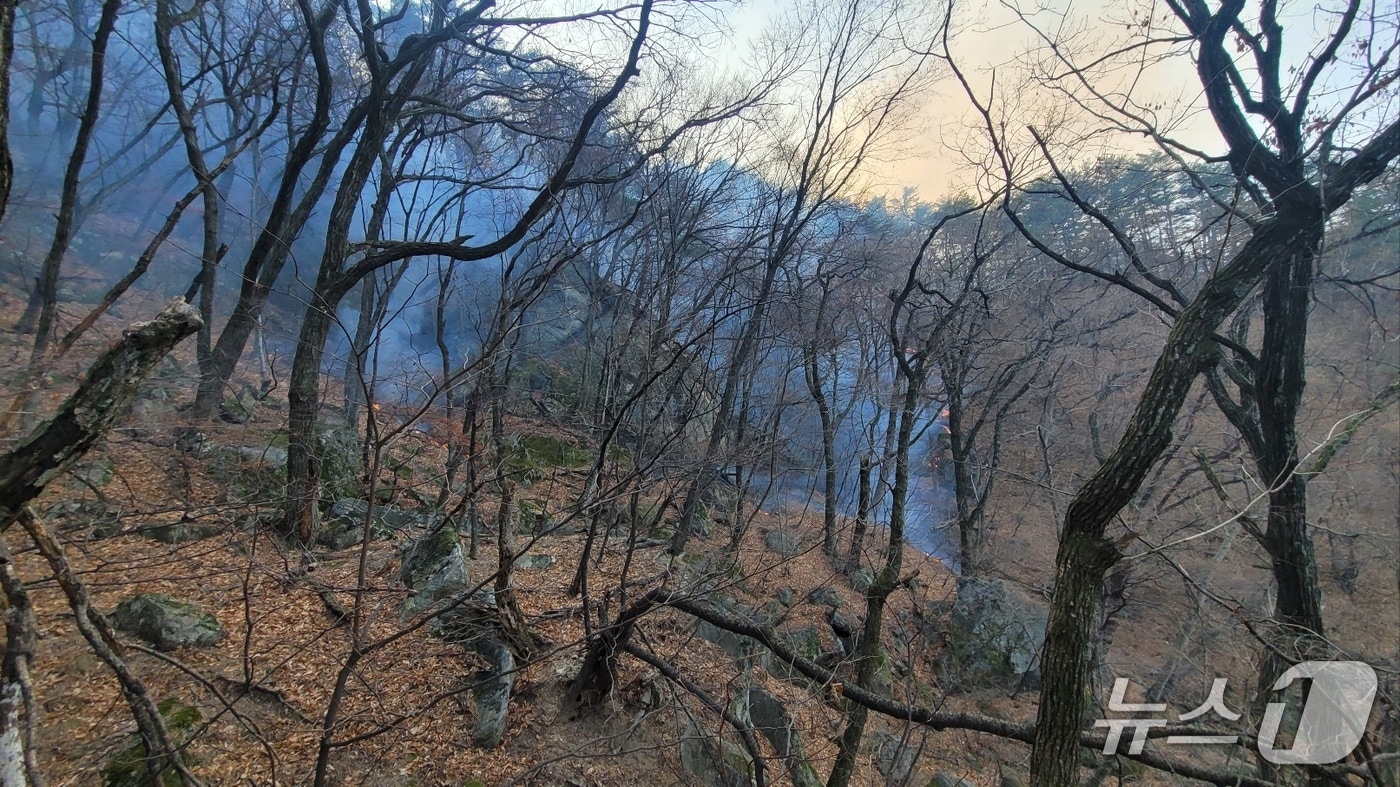 강원 강릉 연곡면 신왕리 산불 현장.(강원도 제공, 재판매 및 DB금지)