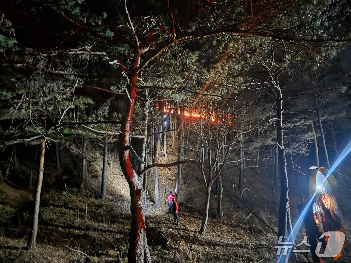 강원 고성군 거진읍 화포리 산불 현장.(강원도 제공, 재판매 및 DB금지)