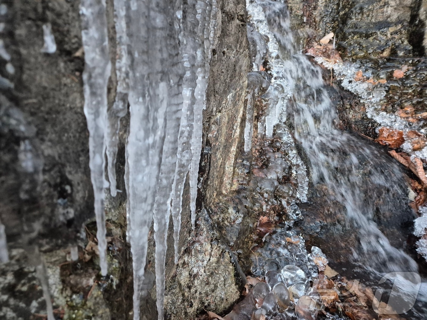 강원 대부분 지역에 한파특보가 발효 중인 3일 오전 아침 최저기온이 -13.2도까지 떨어진 대관령 구 도로변에 고드름이 길게 달려있다.  2025.12.3/뉴스1 ⓒ News1 윤왕근 기자