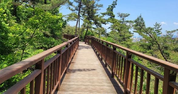 내포사색길 데크 모습.(충남도 제공. 재판매 및 DB금지)/뉴스1