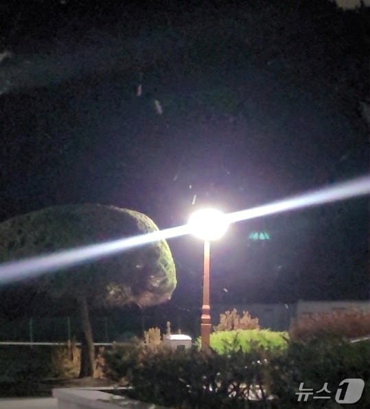 대전 유성구 대학로에서 3일 첫눈이 관측됐다.(대전지방기상청 제공) /뉴스1