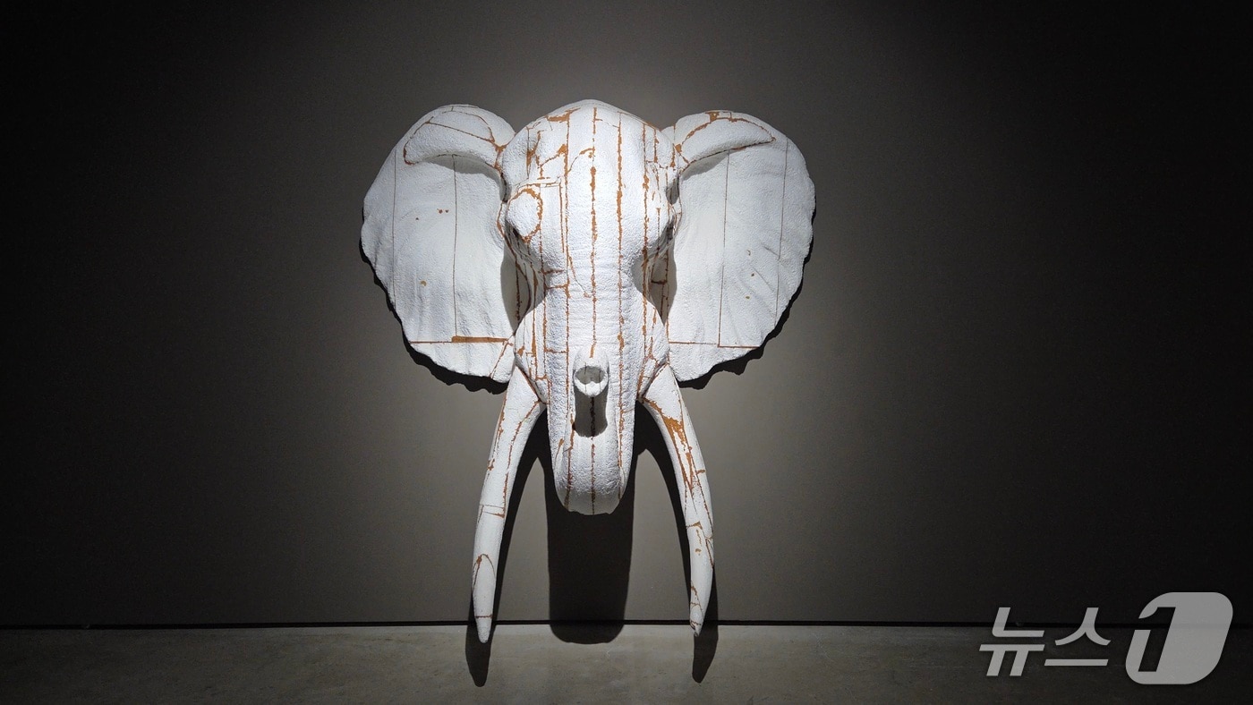 대청호미술관 기획전 &#39;플라스틱 다큐멘터리&#39;.&#40;청주시 제공. 재판매 및 DB금지&#41;/뉴스1