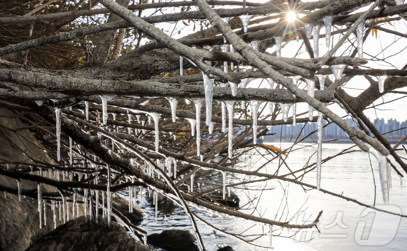 서울 지역 아침 최저 기온이 영하 8도까지 떨어지면서 한파가 몰아닥친 지난 3일 서울 광진구 뚝섬한강공원 인근에 고드름이 얼어있다. &#40;자료사진&#41;뉴스1 DB