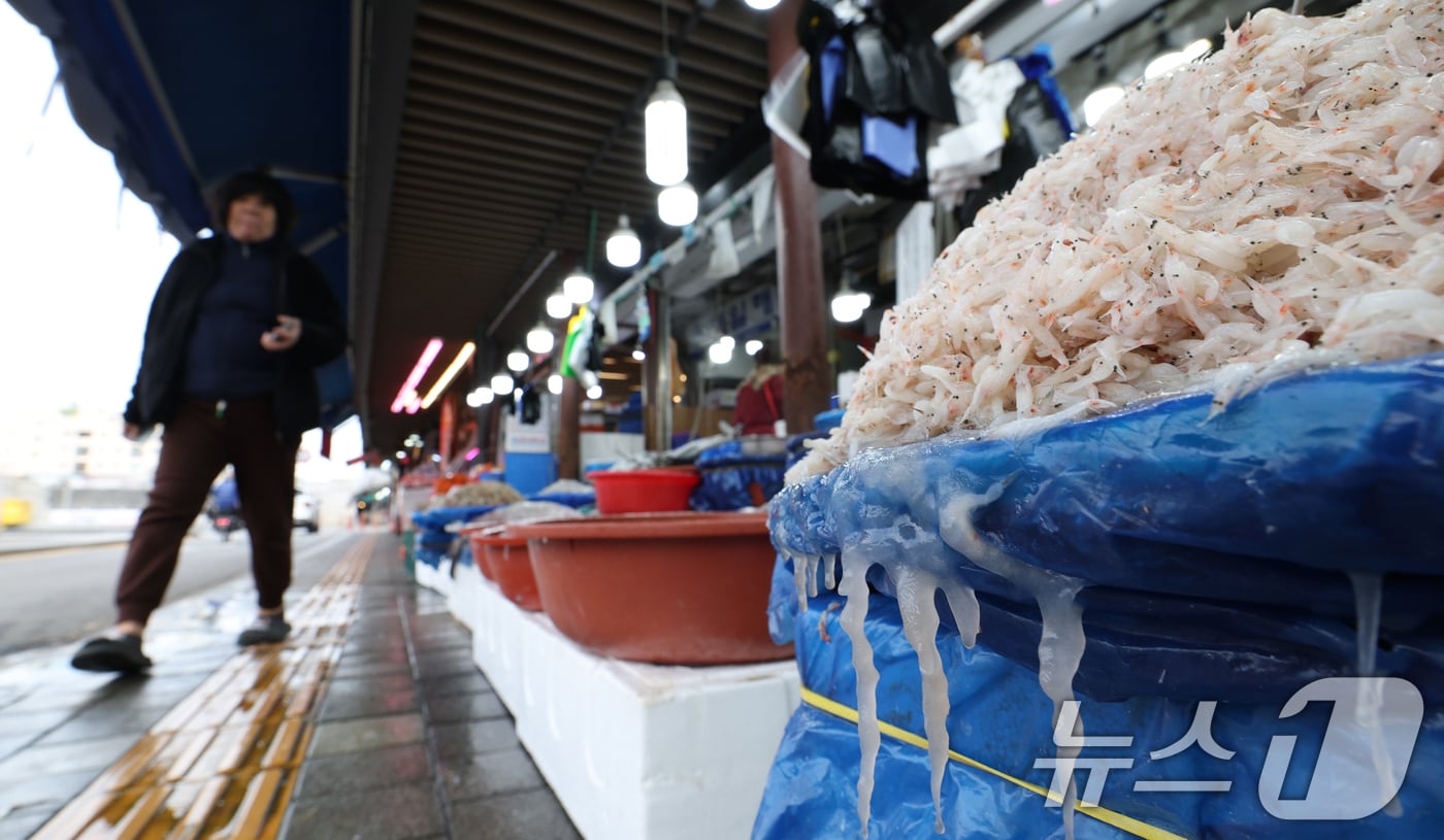 얼음.(뉴스1 DB) ⓒ News1 김영운 기자