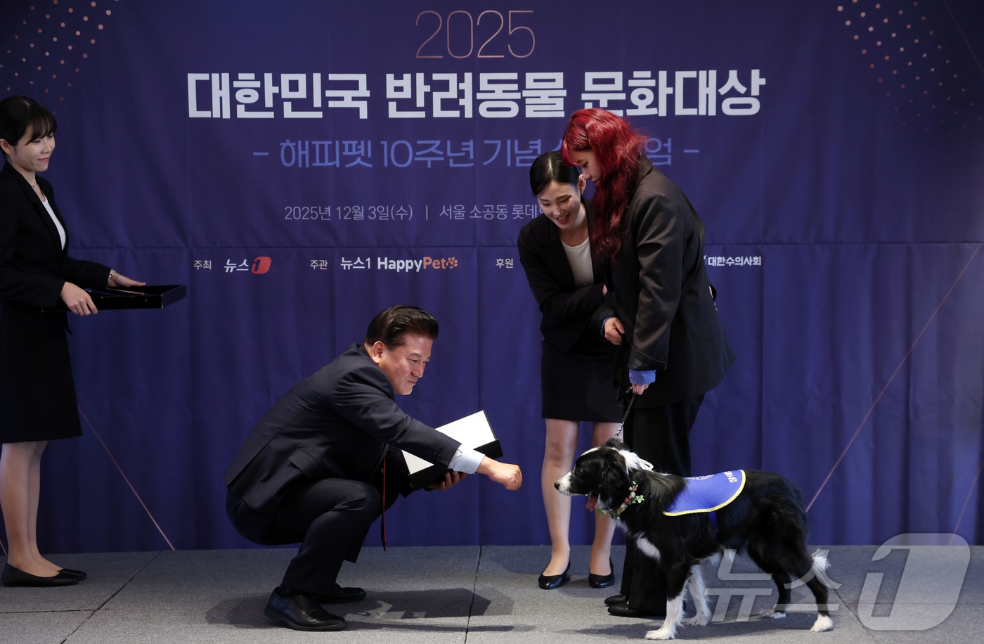 [영상]해피펫 10주년 왔다개...반려동물 문화대상 현장 이모저모 - 뉴스 썸네일 이미지