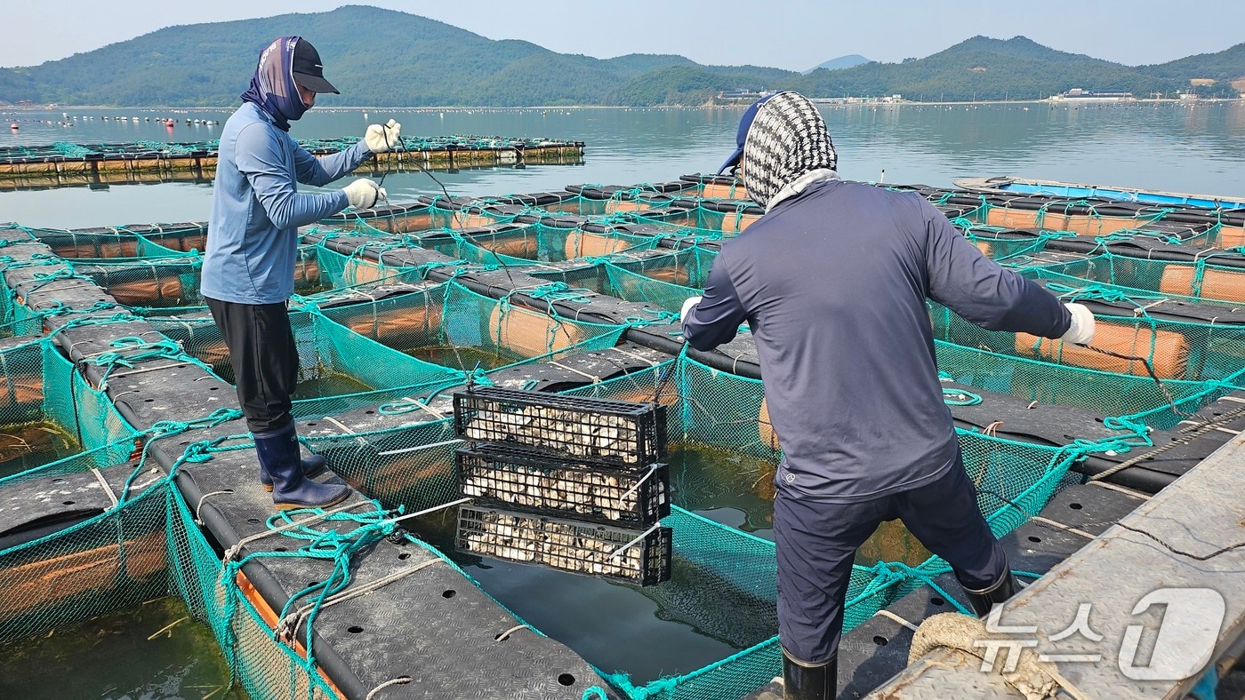 부착생물 저감장치가 설치되는 모습 (수과원 제공. 재판매 및 DB금지)