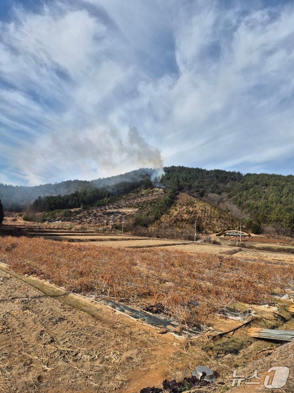 30일 전남 장흥 한 야산에서 발생한 산불 모습.(산림청 제공. 재판매 및 DB 금지) 2025.12.30