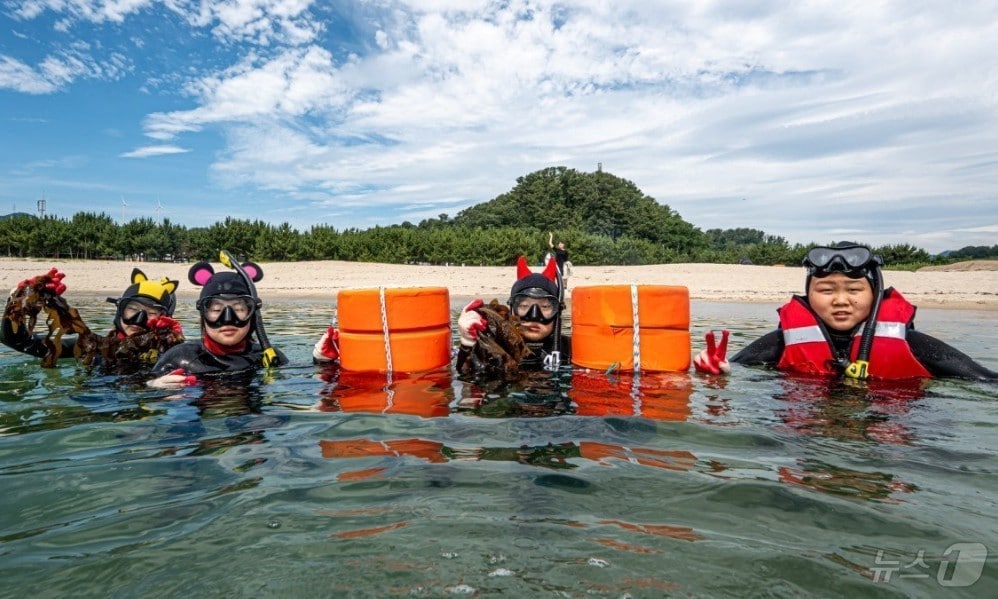 경북교육청은 30일 2026학년도 초등 교육과정 공모사업을 추진해 교육과정 정책을 고도화하고 경북형 초등교육의 미래교육을 본격화한다/뉴스1