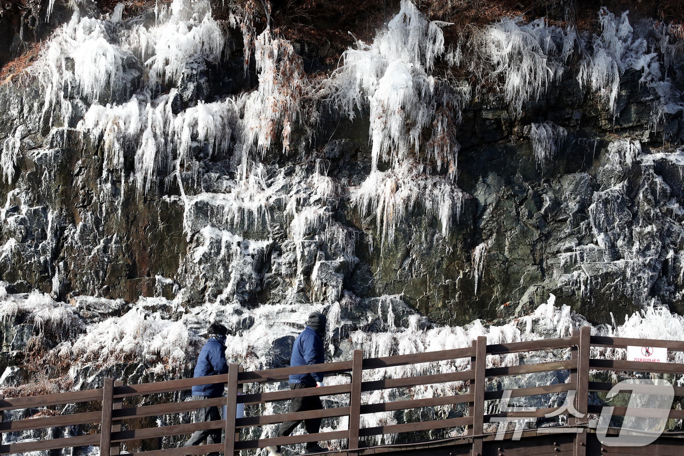 세밑 한파가 기승을 부린 31일 대구 달성군 옥연지 송해공원 인공빙벽이 꽁꽁 얼어 장관을 이루고 있다. 2025.12.31/뉴스1 ⓒ News1 공정식 기자