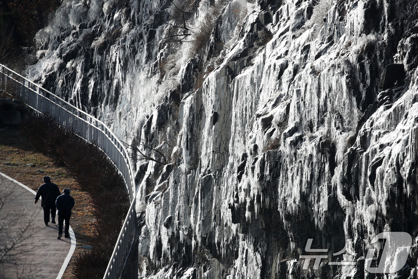 세밑 한파가 기승을 부린 31일 대구 달성군 옥연지 송해공원 인공 빙벽이 꽁꽁 얼어 장관을 이루고 있다. 2025.12.31/뉴스1 ⓒ News1 공정식 기자