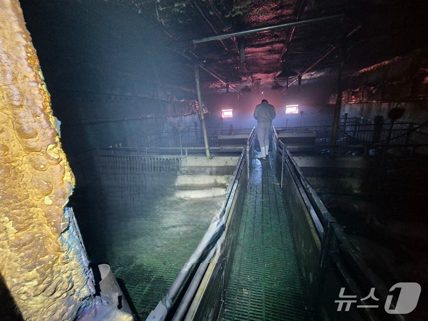 예산 신암면 돈사 화재 현장. (예산소방서 제공, 재판매 및 DB금지) / 뉴스1 