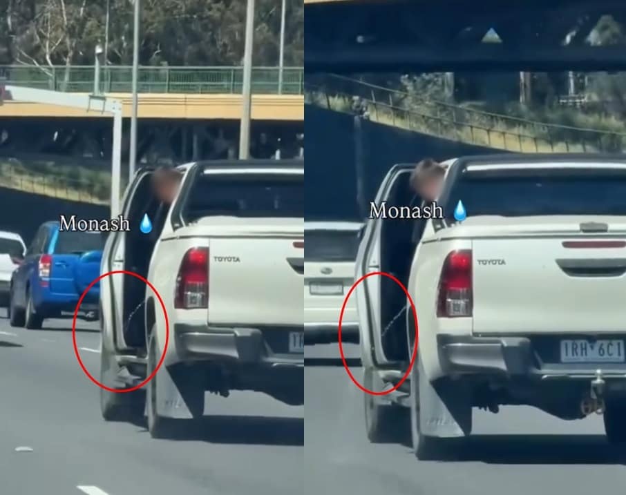 (틱톡 'griseldablanco77' 갈무리)