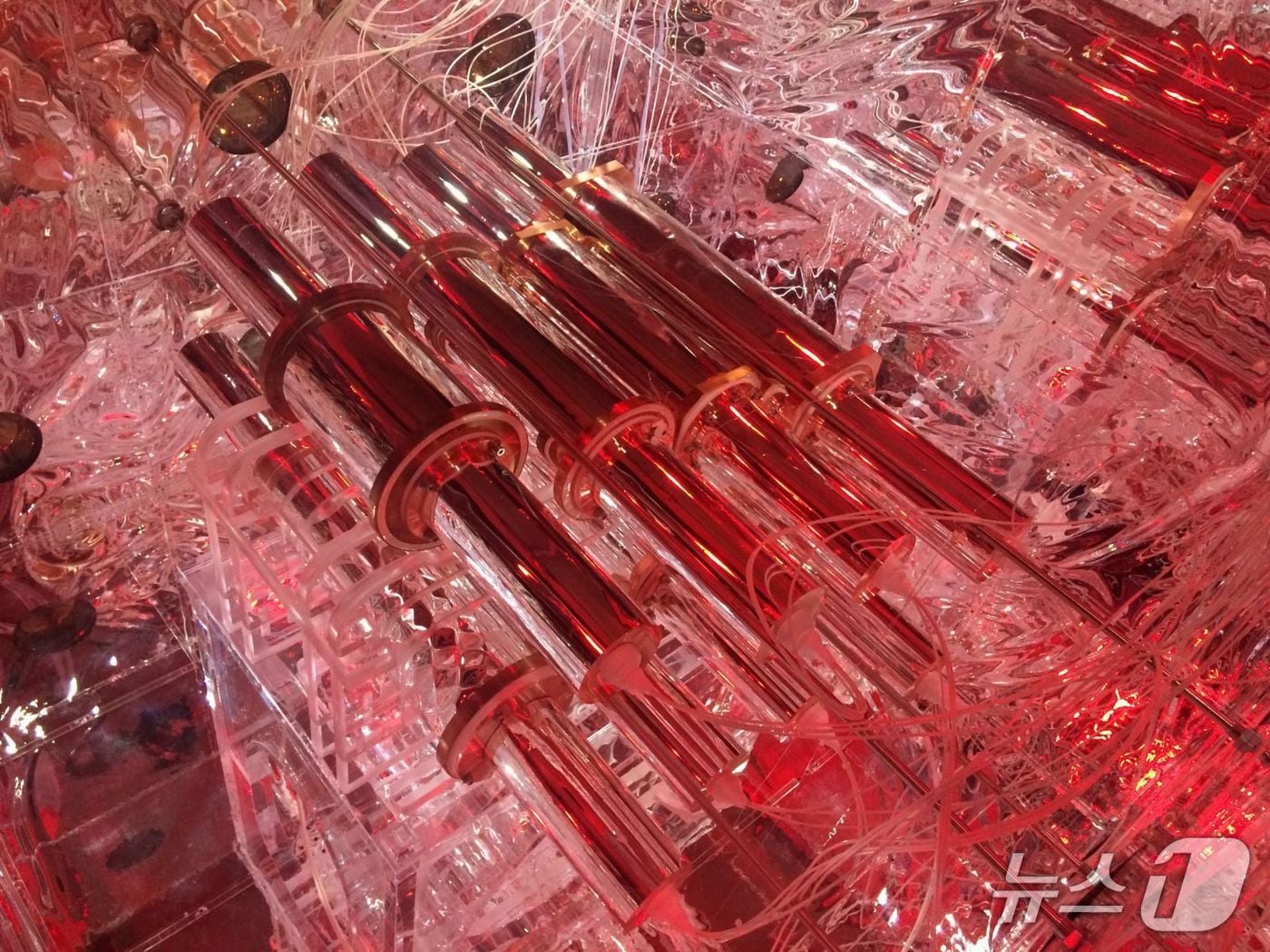 암흑물질의 흔적을 포착하는 코사인-100 검출기(IBS 제공) /뉴스1