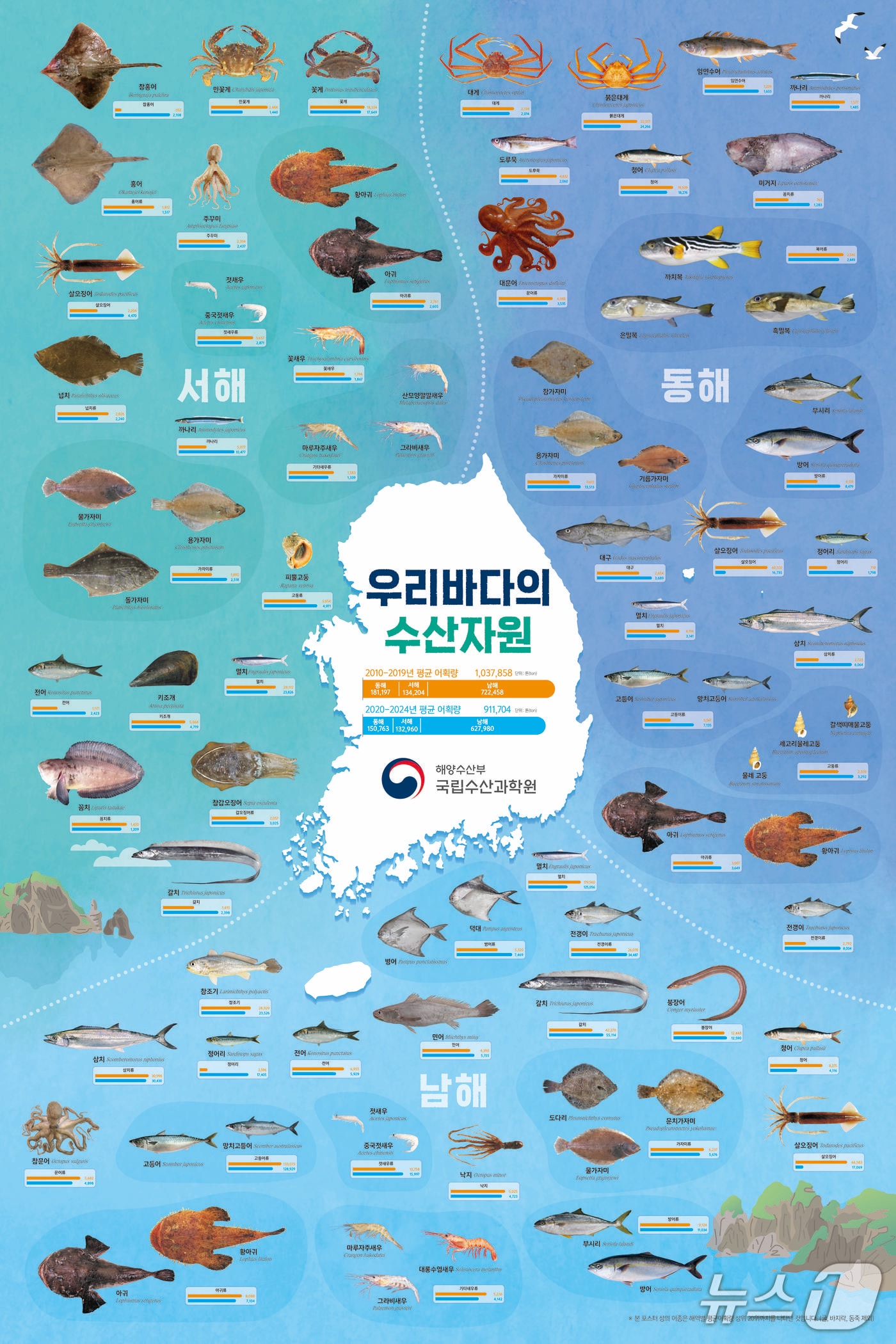 우리바다 평균 어획량, 남·동해 중심으로 10% 넘게 줄어 - 뉴스 썸네일 이미지