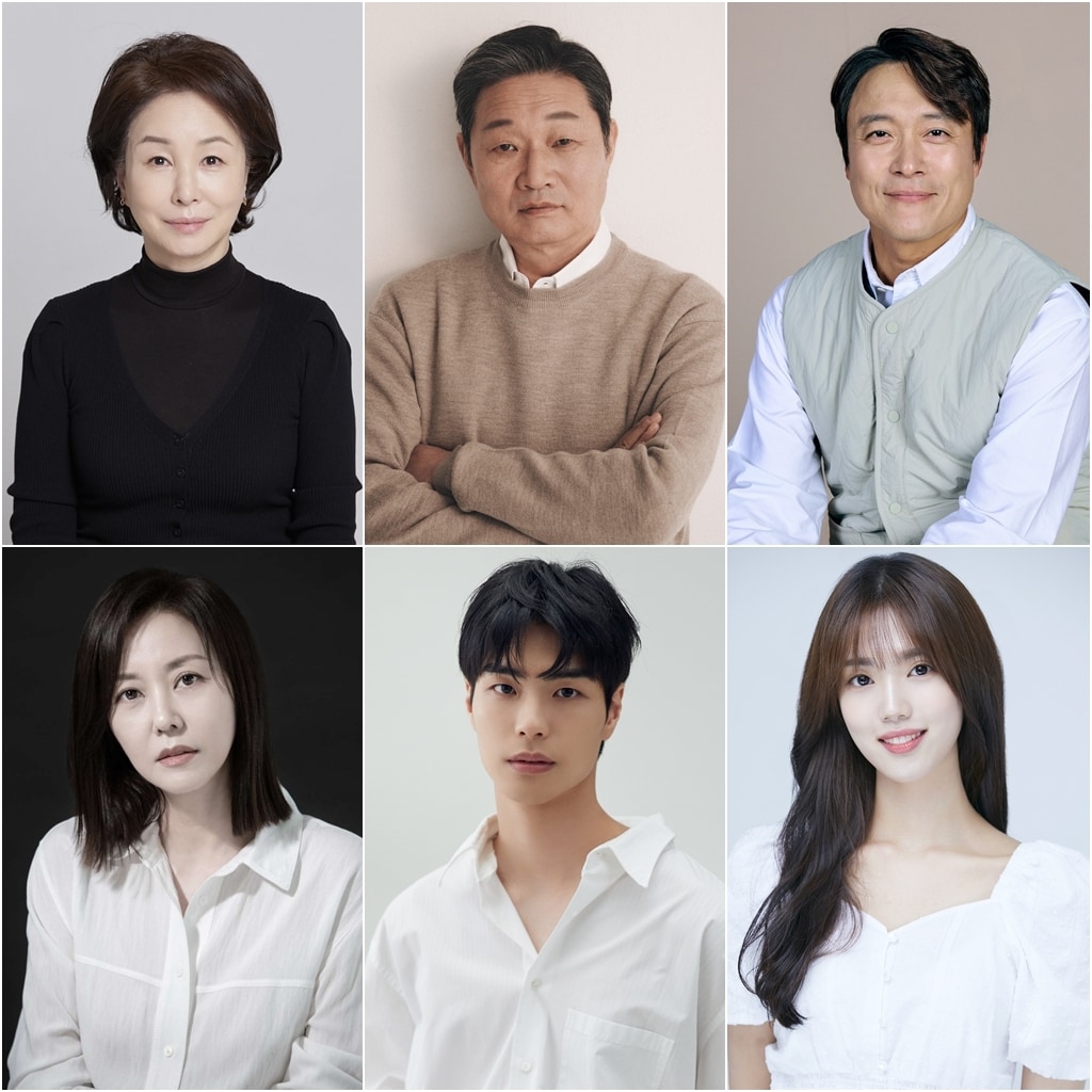 (왼쪽 위부터 시계방향으로) 배우 김미숙, 주진모, 최대철, 윤서아, 김선빈, 조미령