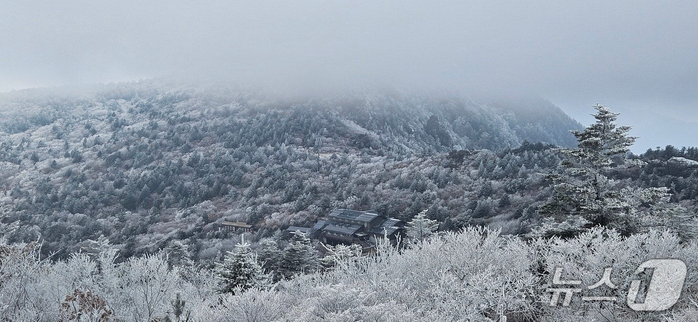 지리산에 쌓인 눈(국립공원공단 지리산국립공원경남사무소 제공).