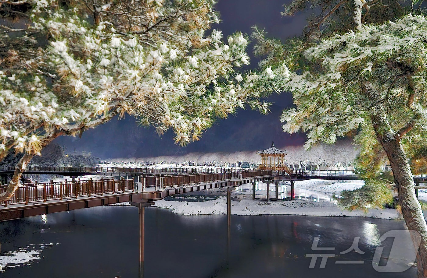 충북 괴산군 동진천 에코브릿지가 밤새 내린 눈으로 멋진 설경을 연출하고 있다.&#40;괴산군 제공, 재판매 및 DB금지&#41;/뉴스1