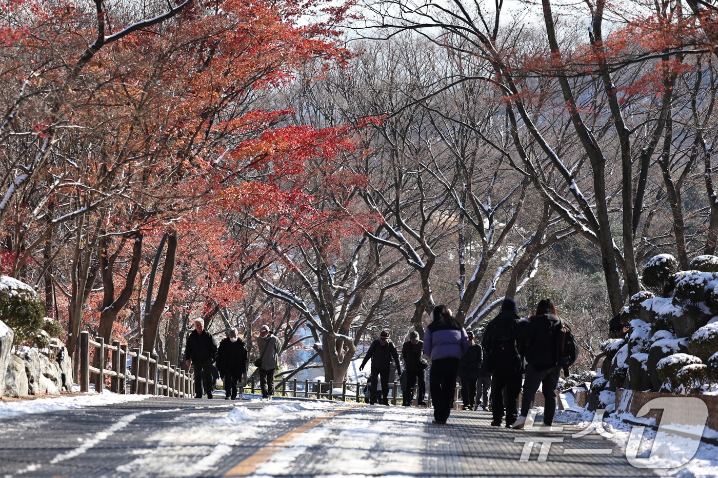 산책하는 시민들.(뉴스1 DB)