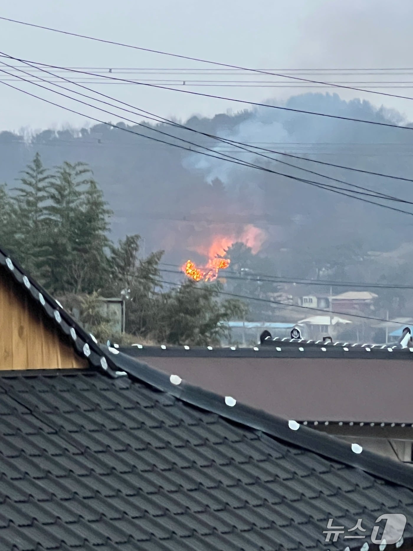 부여 임천면 가신리 산불 현장. (산림청 제공, 재판매 및 DB금지) / 뉴스1