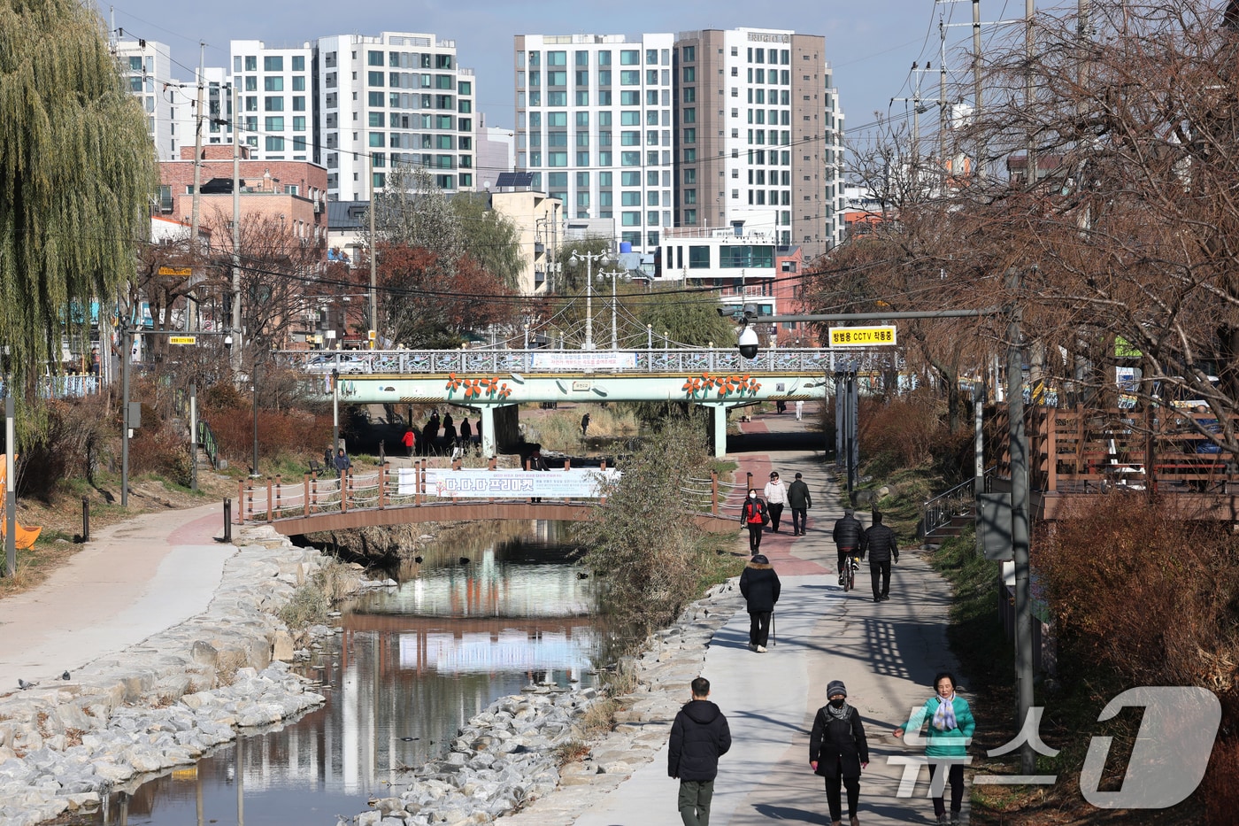 포근한 겨울 날씨를 보인 9일 경기 수원시 권선구 세류천에서 시민들이 산책을 즐기고 있다. 2025.12.9/뉴스1 ⓒ News1 김영운 기자