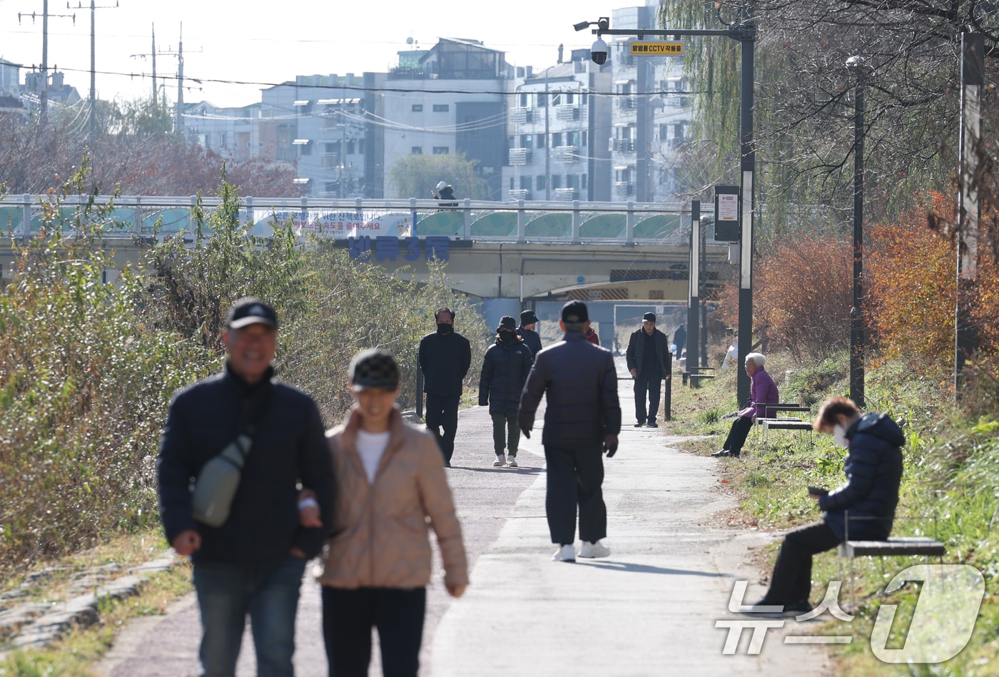 포근한 겨울 날씨를 보인 9일 경기 수원시 권선구 세류천에서 시민들이 산책을 즐기고 있다. 2025.12.9/뉴스1 ⓒ News1 김영운 기자