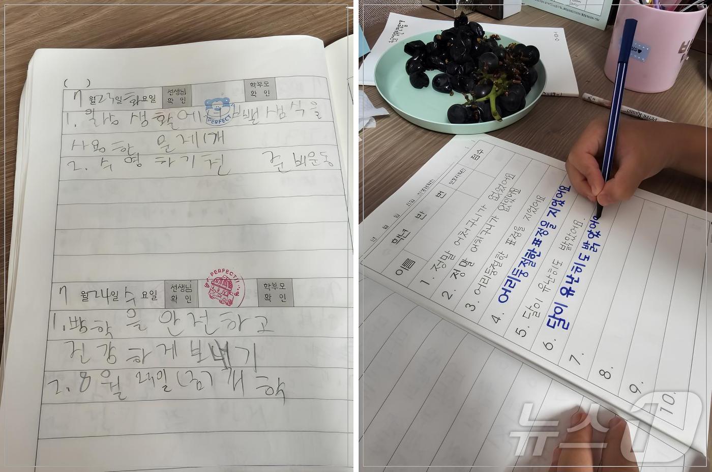 영덕군은 초등학생을 대상으로 '글씨의 정석' 프로그램 참여자를 모집한다. 사진은 손글씨 전문 지도를 받은 초등학생의 글씨 모습.(영덕군 제공) 2025.2.10/뉴스1 