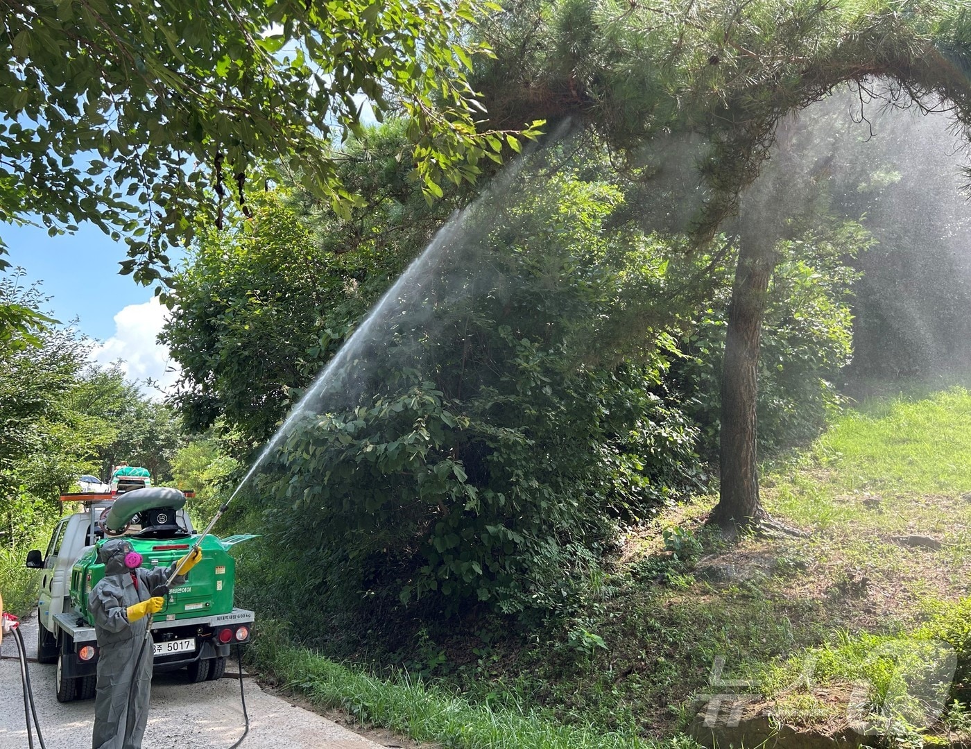 북부지방산림청의 산림병해충예찰방제단 활동 자료 사진. (북부지방산림청 제공) 2025.2.12/뉴스1