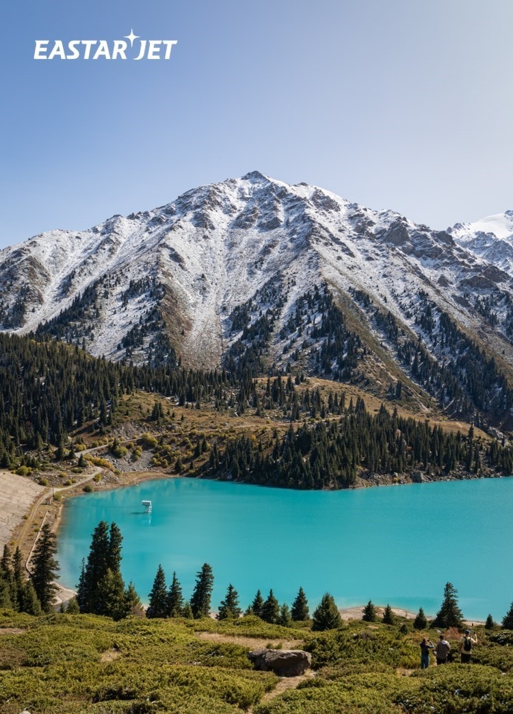 이스타항공 제공
