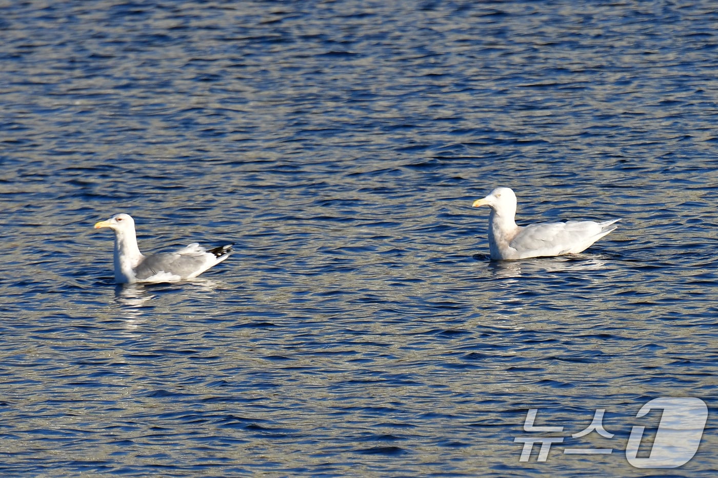 자료사진.2025.2.13/뉴스1 ⓒ News1 최창호 기자