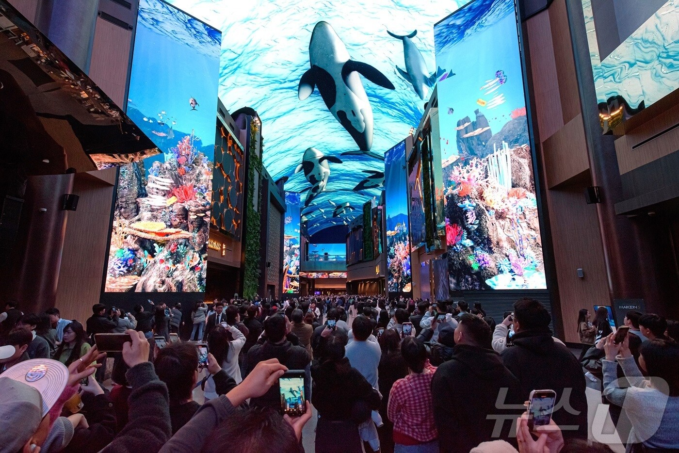 오로라 관람중인 관광객들(인스파이어 제공) / 뉴스1