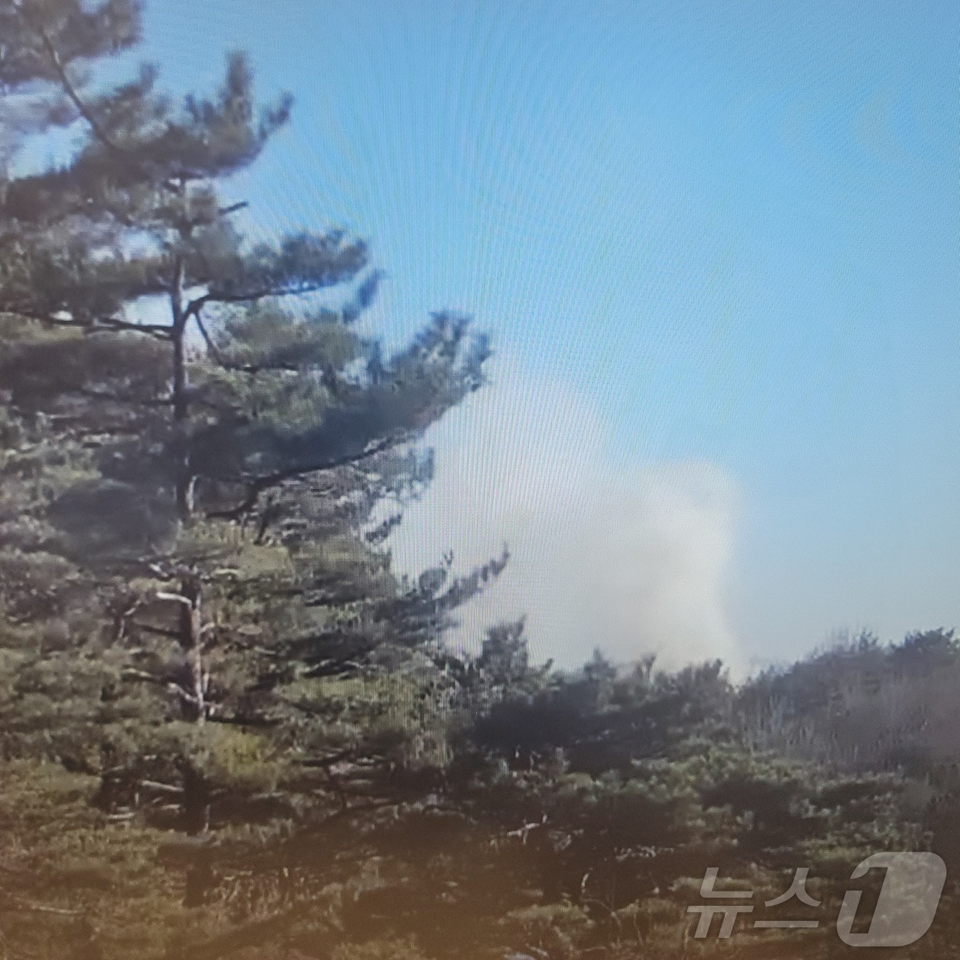 13일 강릉 주문진읍 향호리 산불 현장.(동부지방산림청 제공, 재판매 및 DB 금지) 2025.2.13/뉴스1