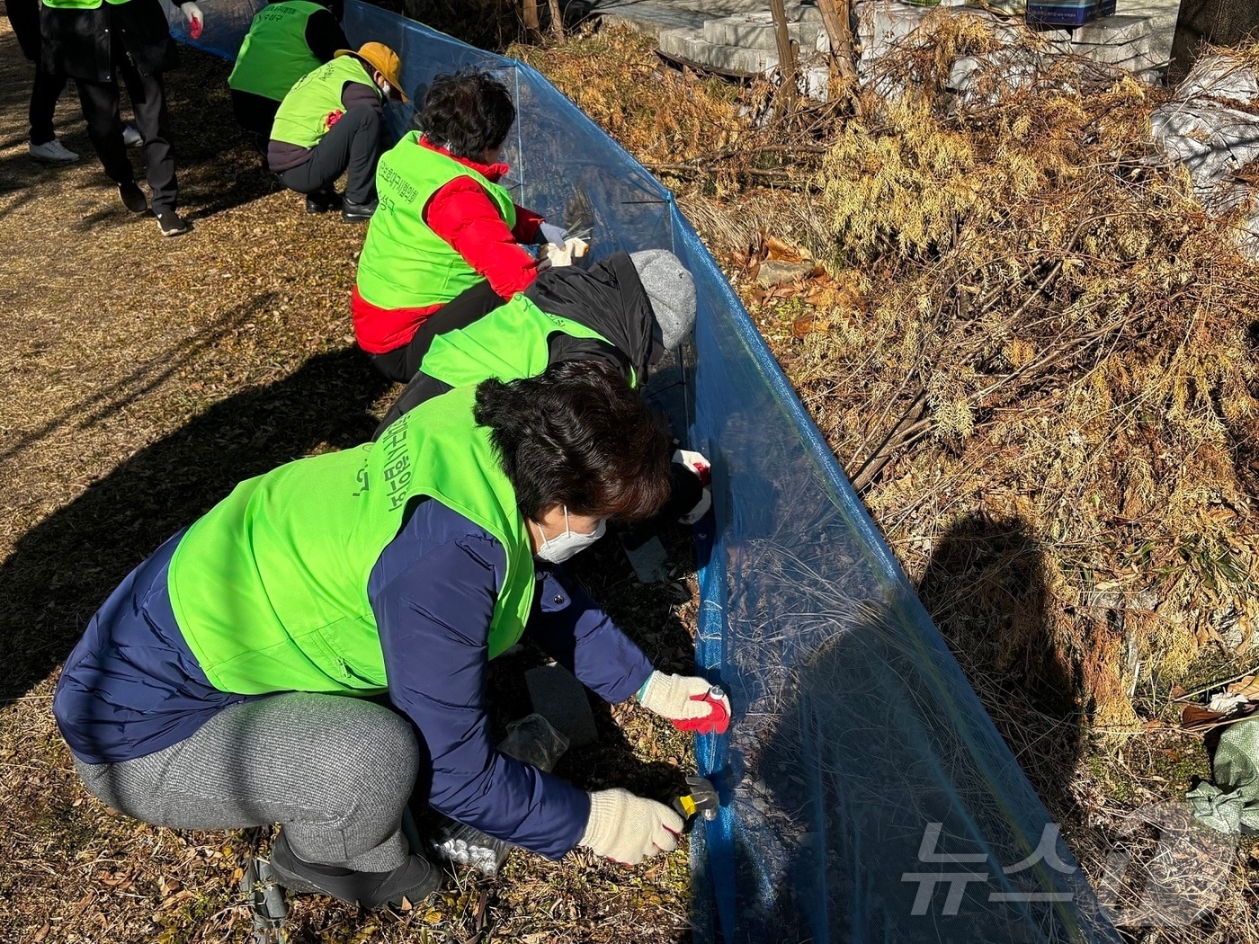 13일 오후 대구 수성구 관계자들이 전국 최대 두꺼비 진단 산란지인 욱수동 망월지 일대에 두꺼비 로드킬 방지를 위한 펜스를 설치하고 있다.(대구 수성구 제공. 재판매 및 DB금지) 2025.2.13/뉴스1