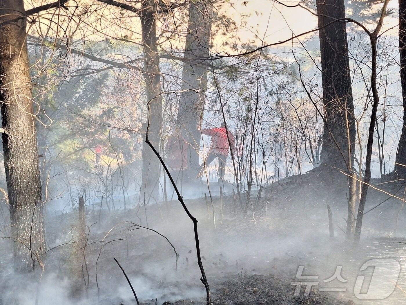 13일 강릉 주문진읍 향호리 산불 현장.(동부지방산림청 제공, 재판매 및 DB 금지) 2025.2.13/뉴스1