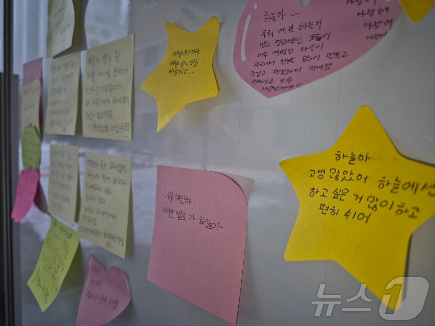  숨진 김하늘 양이 다니던 대전 서구 관저동 초등학교에 마련된 합동분향소에 하늘 양을 추모하는 메모들이 붙어 있다. 2025.2.12/뉴스1 ⓒ News1 최형욱 기자
