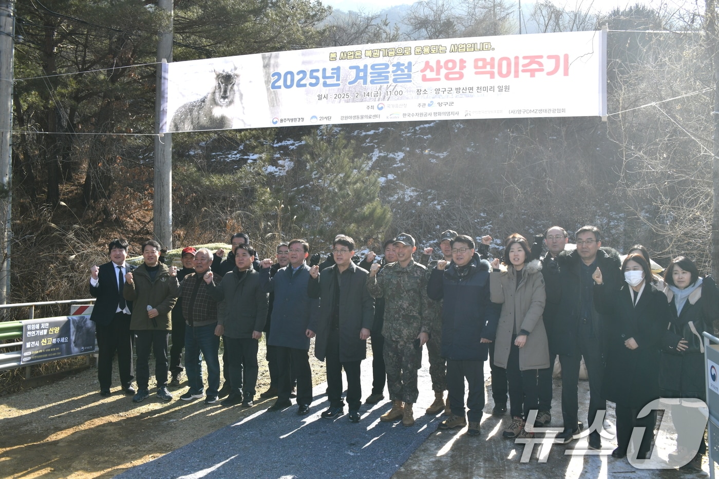 지난해 실시한 천연기념물 산양의 폐사 방지 위한 먹이주기 행사(사진은 기사와 관련없음. 자료사진)/뉴스1 DB