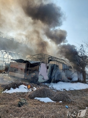 화재 현장. (경기도소방재난본부 제공. 재판매 및 DB 금지) 2025.2.14/뉴스1