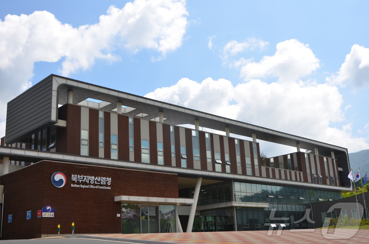 북부지방산림청. (북부지방산림청 제공. 재판매 및 DB금지) 2025.2.14/뉴스1