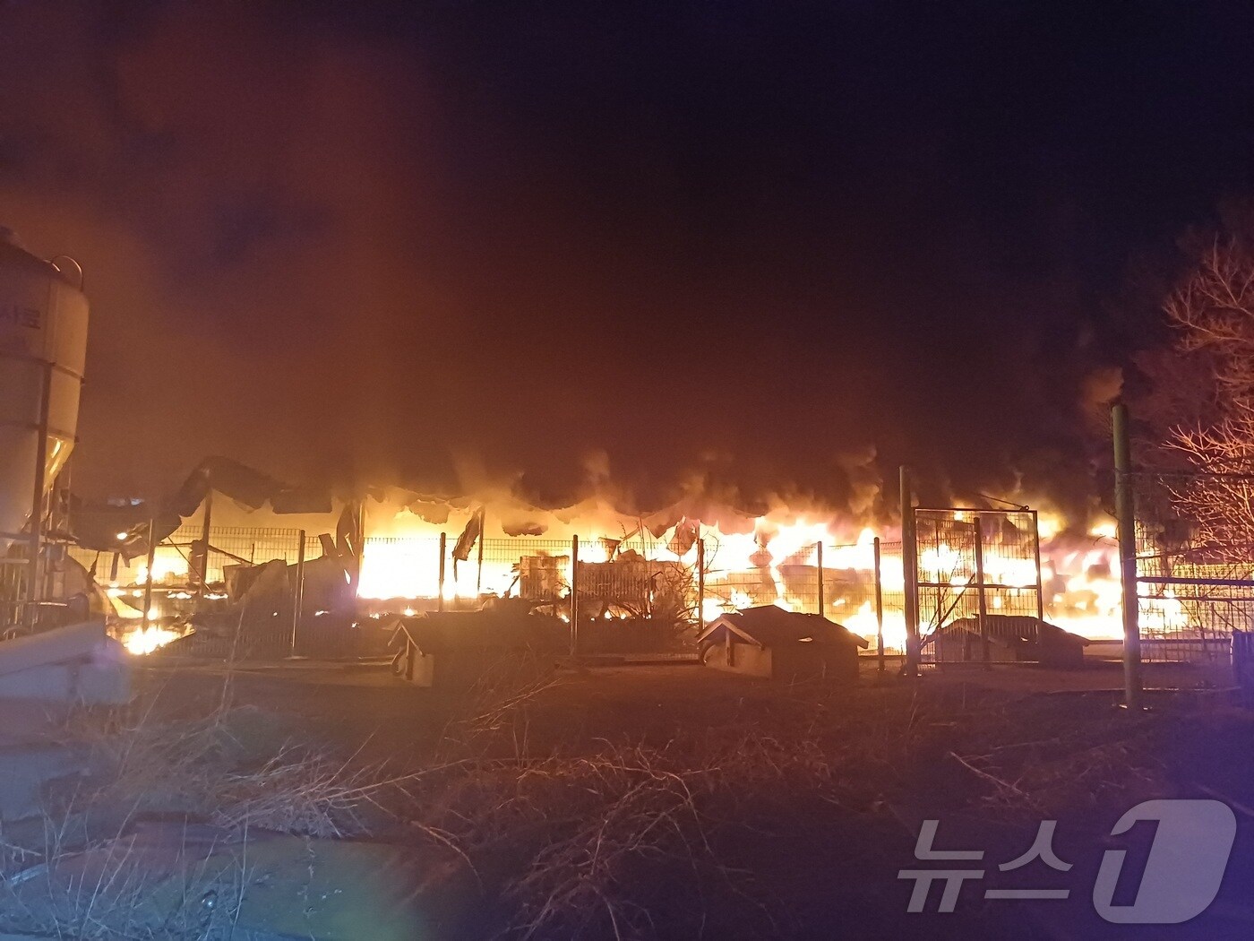 16일 오후 7시 52분께 서천군 화양면의 한 돈사에서 불이나 경량철골조 건물 3동이 타고 새끼돼지 1100마리가 폐사했다.(서천소방서 제공. 재판매 및 DB금지). / 뉴스 1