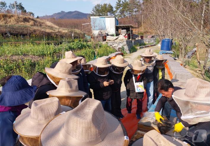 부산시 농업기술센터의 양봉 과정 교육 참가자들이 꿀벌 현장 실습을 하고 있다.(부산시 농업기술센터 제공. 재판매 및 DB 금지)