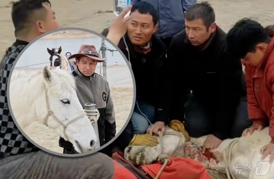 관련 시각물 - SCMP 갈무리