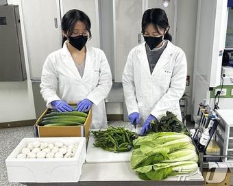 대전보건환경연구원의 농산물 안전성 검사 모습.(대전시 제공.재판매 및 DB금지)/뉴스1