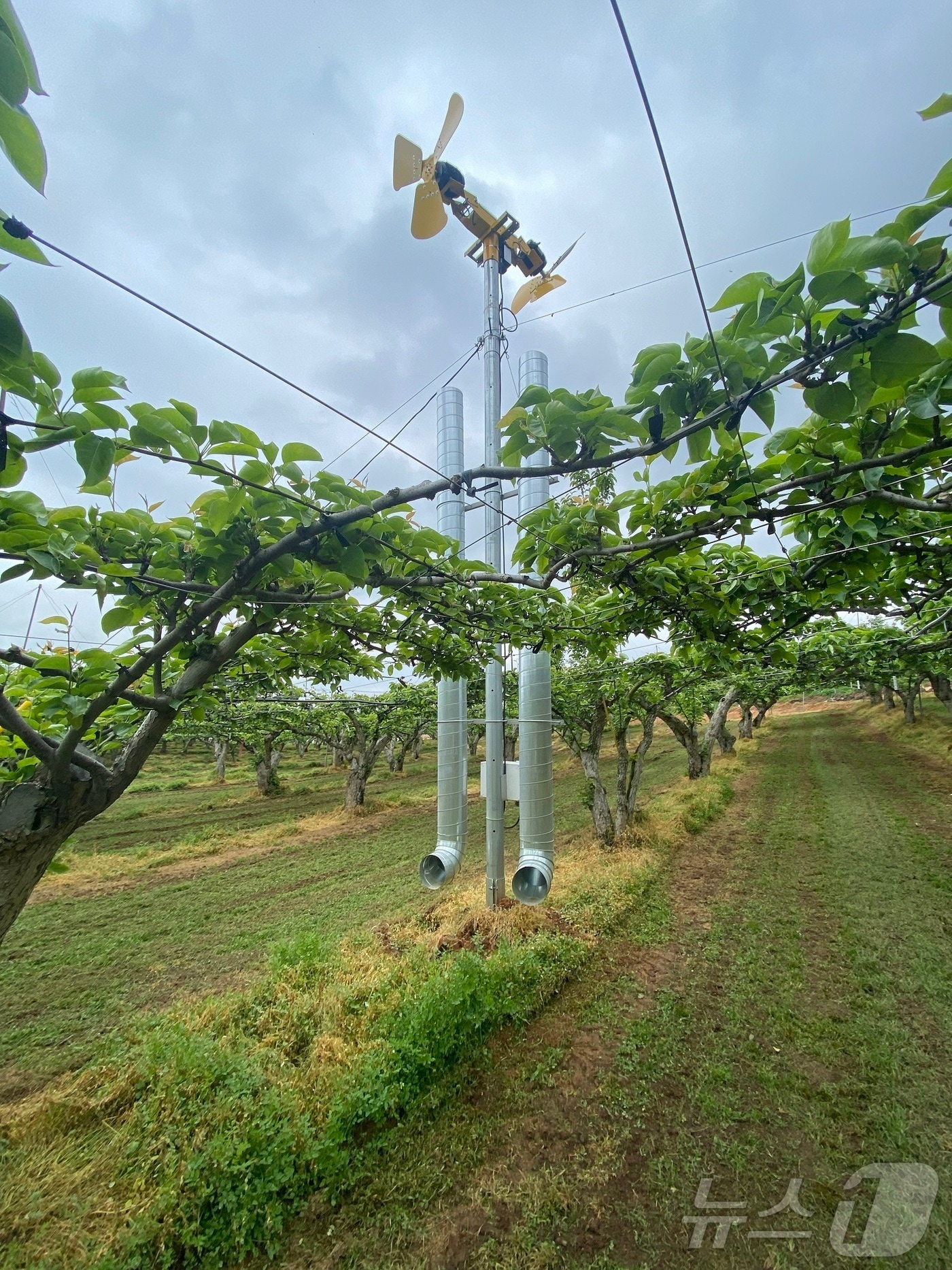 과수 재해예방시설 중 열풍방상팬.(전남도 제공. 재판매 및 DB금지) 2025.2.18/뉴스1