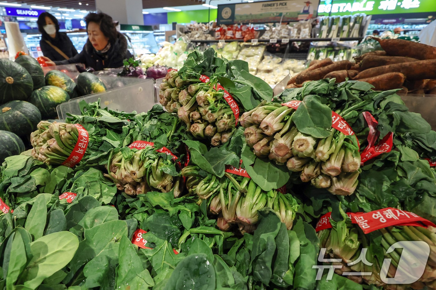 자료사진.뉴스1 ⓒ News1 민경석 기자