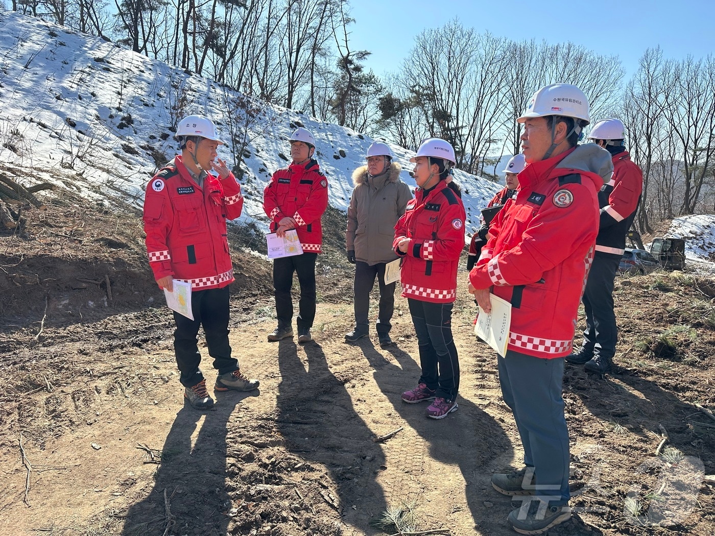 강혜영 북부지방산림청장을 비롯한 관계자들이 지난 17일 경기 양평군 소나무재선충병 방제사업장을 찾아 방제 사업 현안과 안전관리 상황을 점검했다. (북부지방산림청 제공. 재판매 및 DB금지) 2025.2.18/뉴스1