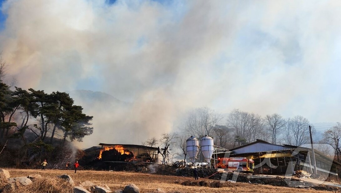 18일 오후 1시 쯤 경북 성주군 월항면 인촌리 한 우사에서 불이 나 출동한 소방관들이 진화작업을 벌이고 있다. &#40;경북소방본부 제공. 재판매 및 DB금지&#41; 2025.2.18/뉴스1