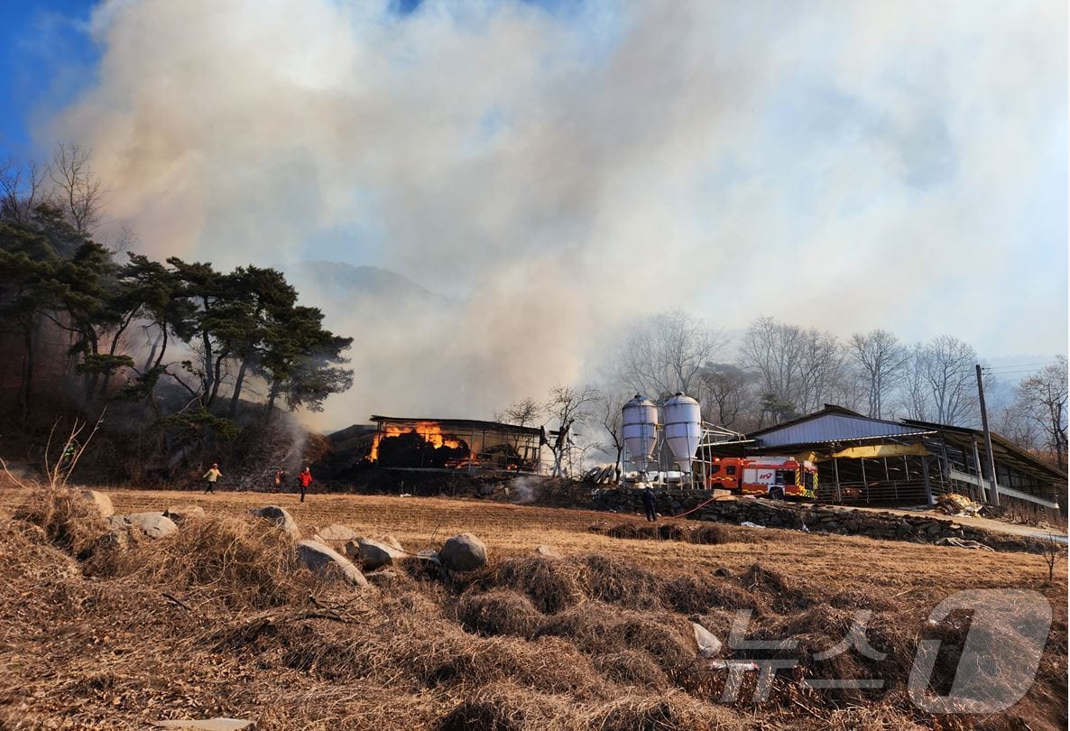 18일 오후 1시쯤 경북 성주군 월항면 인촌리 한 우사에서 시작된 불이 인접 야산까지 옮겨붙어 소방당국과 산림청이 화재진압에 나섰다.(경북소방본부 제공. 재판매 및 DB 금지)2025.2.19/뉴스1