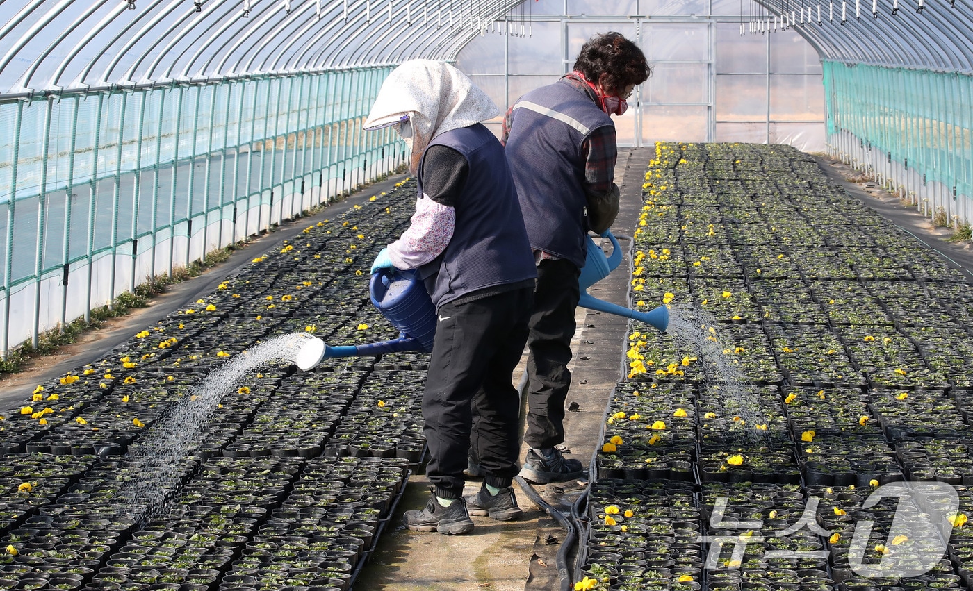 비닐하우스 자료사진.