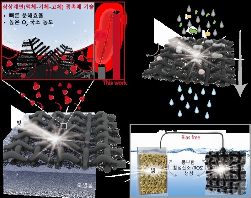 삼상계면을 활용한 광촉매 자가구동형 수질 정화 플랫폼 모식도.(단국대 제공)