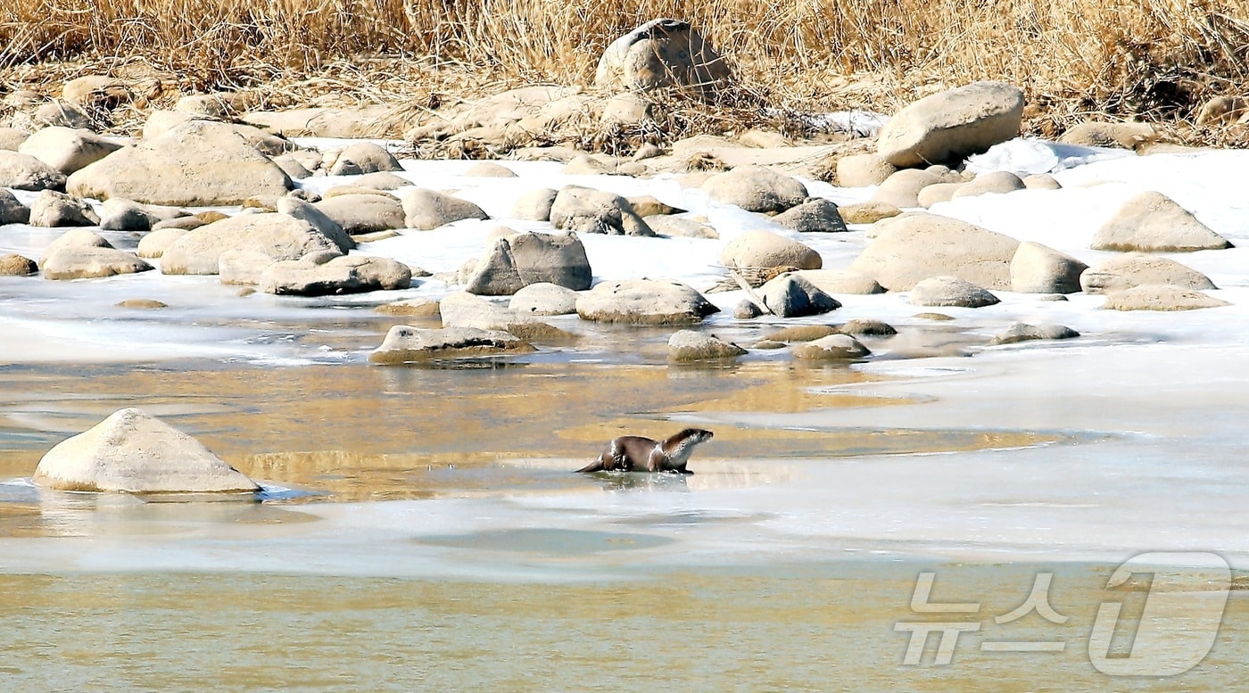 기사 이해를 돕기 위한 해빙기 자료 사진으로 기사 내용과 직접 관련 없음. (재판매 및 DB금지) ⓒ 뉴스1